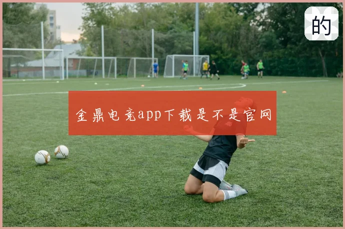 金鼎电竞app下载是不是官网