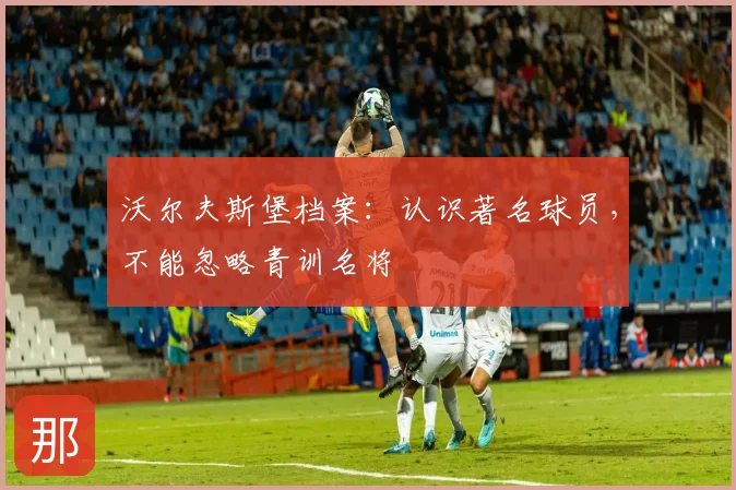 沃尔夫斯堡档案:认识著名球员,不能忽略青训名将